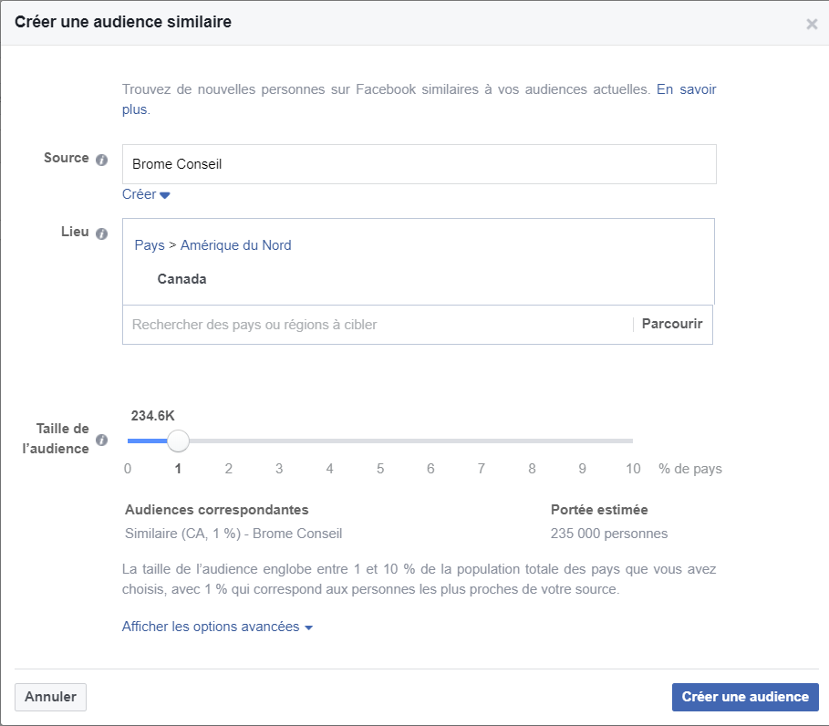 Pixel Facebook Audience similaire
